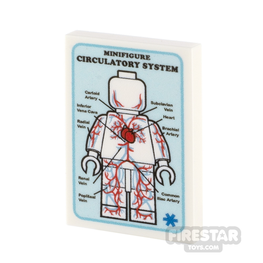 Custom Printed Tile 2x3 Medical Poster Circulatory System WHITE